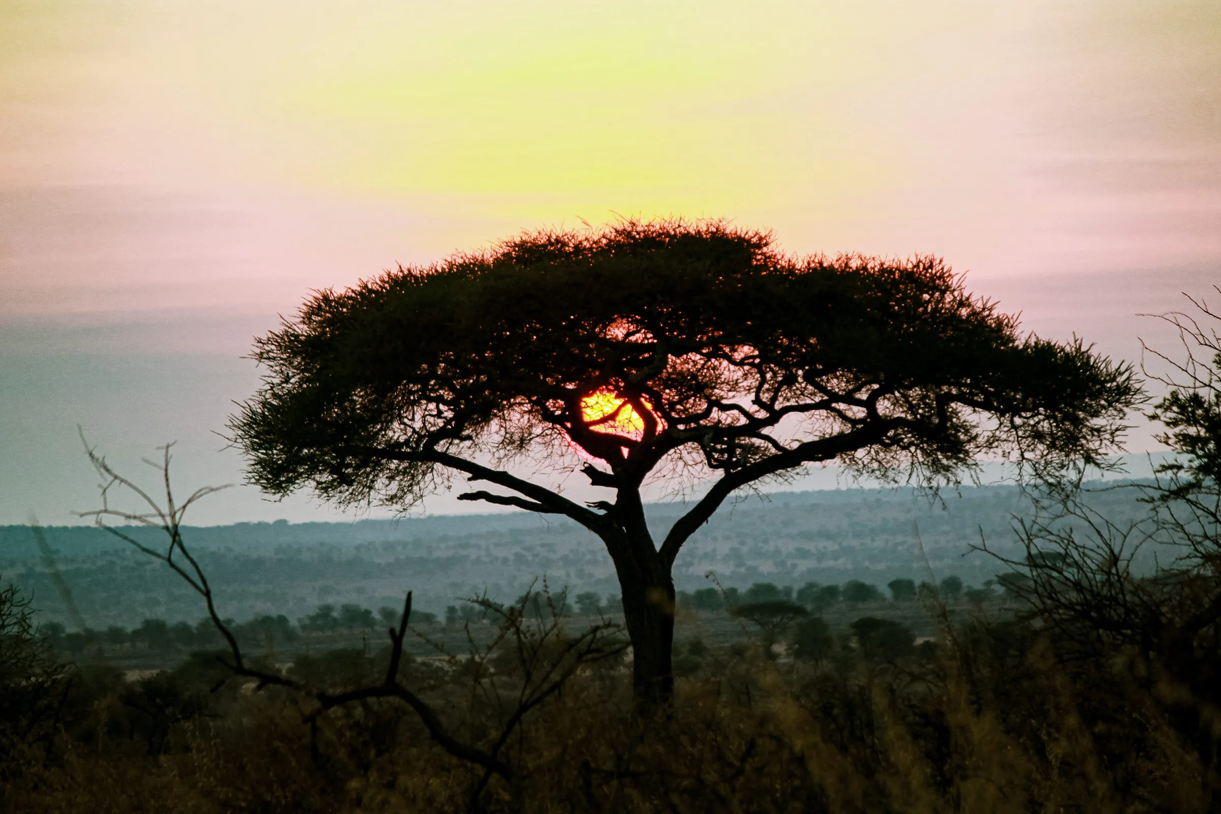 12-Day Grand Tour of Tanzania