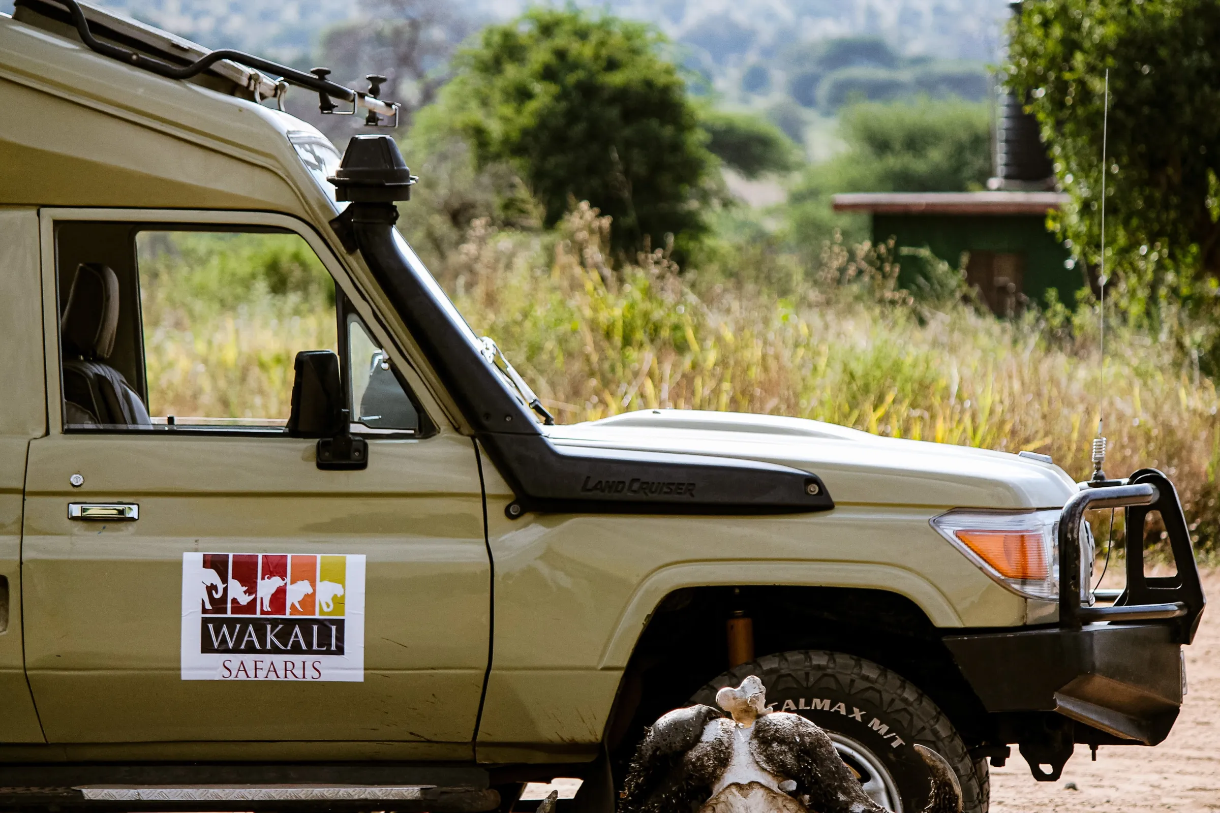 A Wakali Safaris branded 4x4 in Tarangire National Park