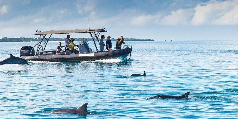 7-Day Tanzania Safari & Zanzibar Beach Holiday