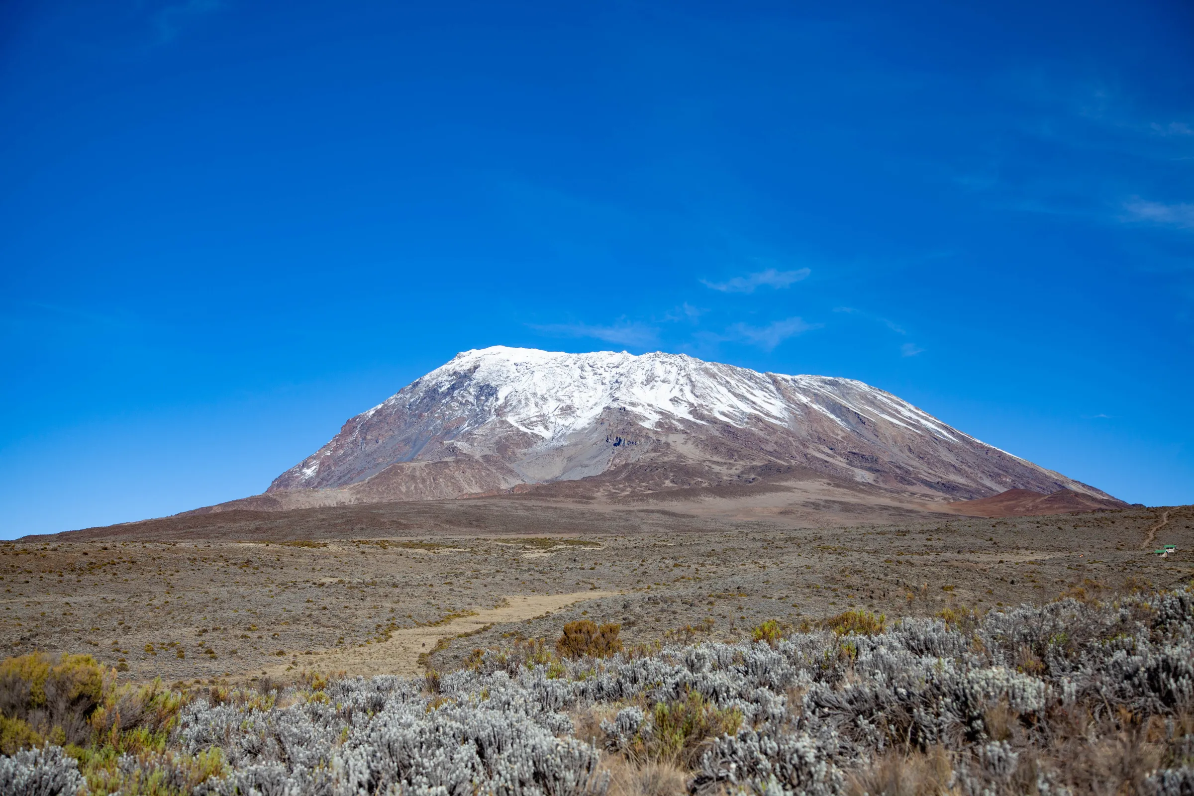 Machame vs. Lemosho: choosing a summit route