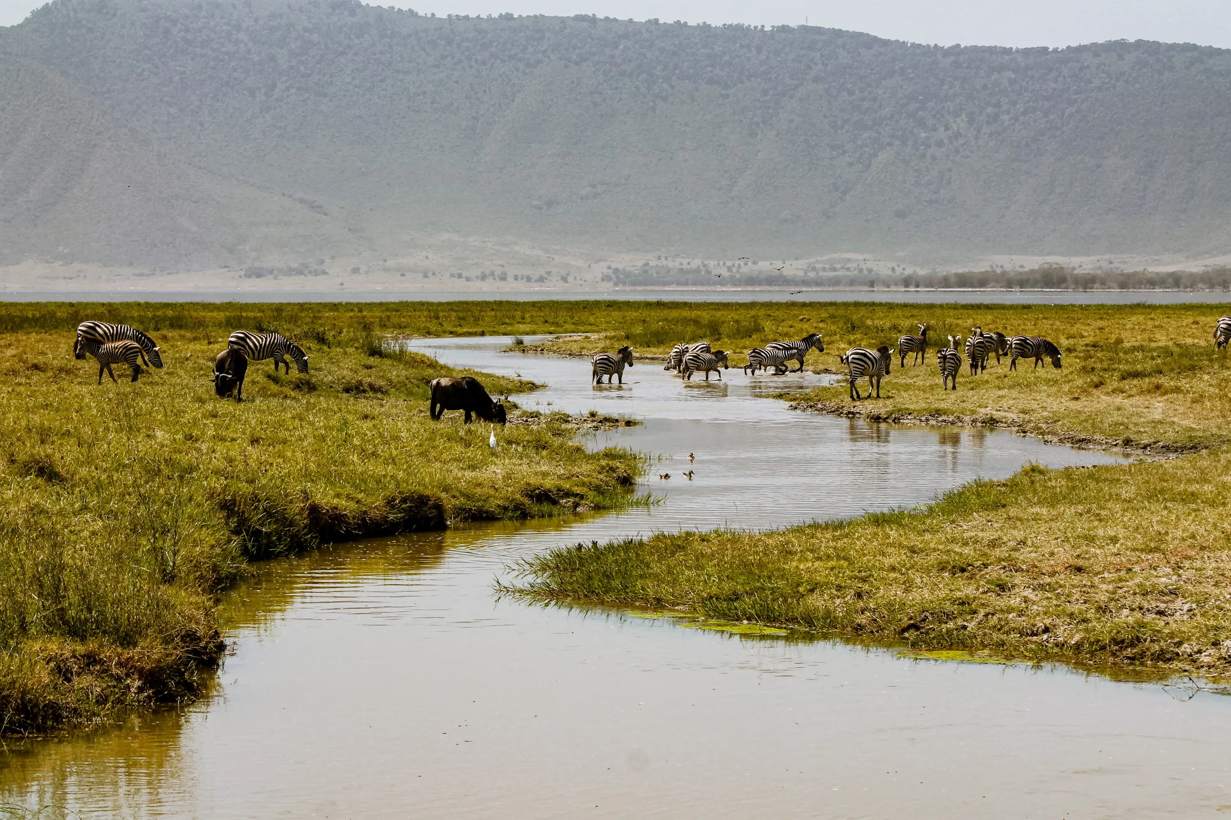 Ngorongoro Crater