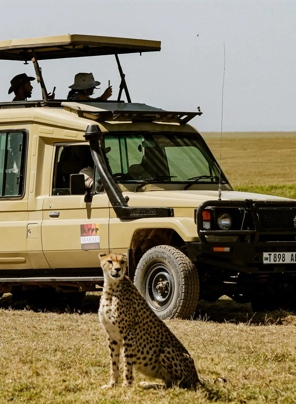Safari lodge