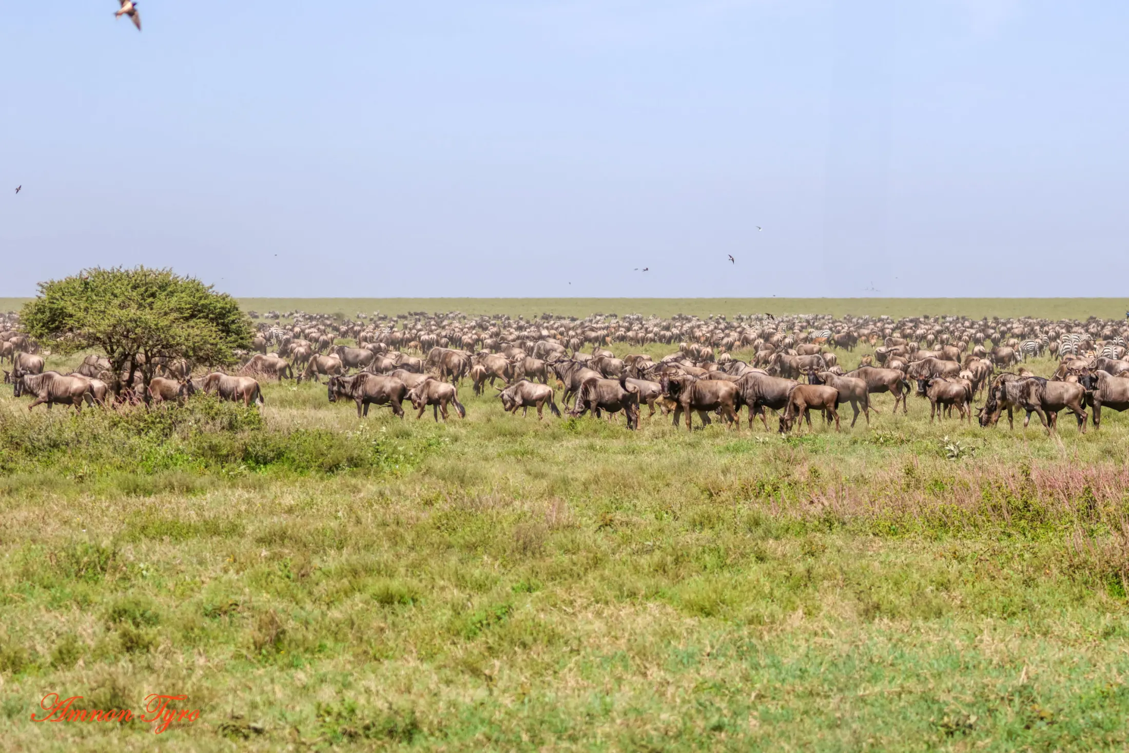 Serengeti National Park