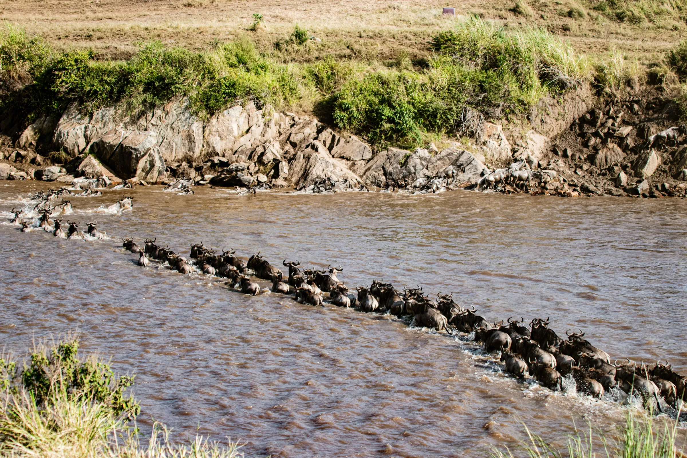 6-Day Zanzibar Beach & Fly-In Serengeti Safari photo 4